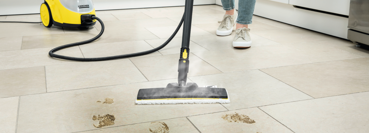 Nettoyeurs à vapeur